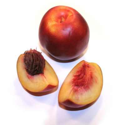 ����� ���� ����� ������� persica nucipersic